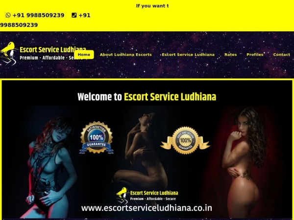 escortserviceludhiana.co.in